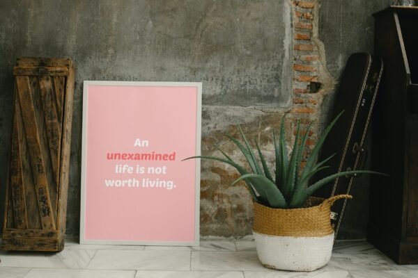 An Unexamined Life Is Not Worth Living, An Unexamined Life Is Not Worth Living Wall Art, An Unexamined Life Is Not Worth Living Digital Art - Image 6